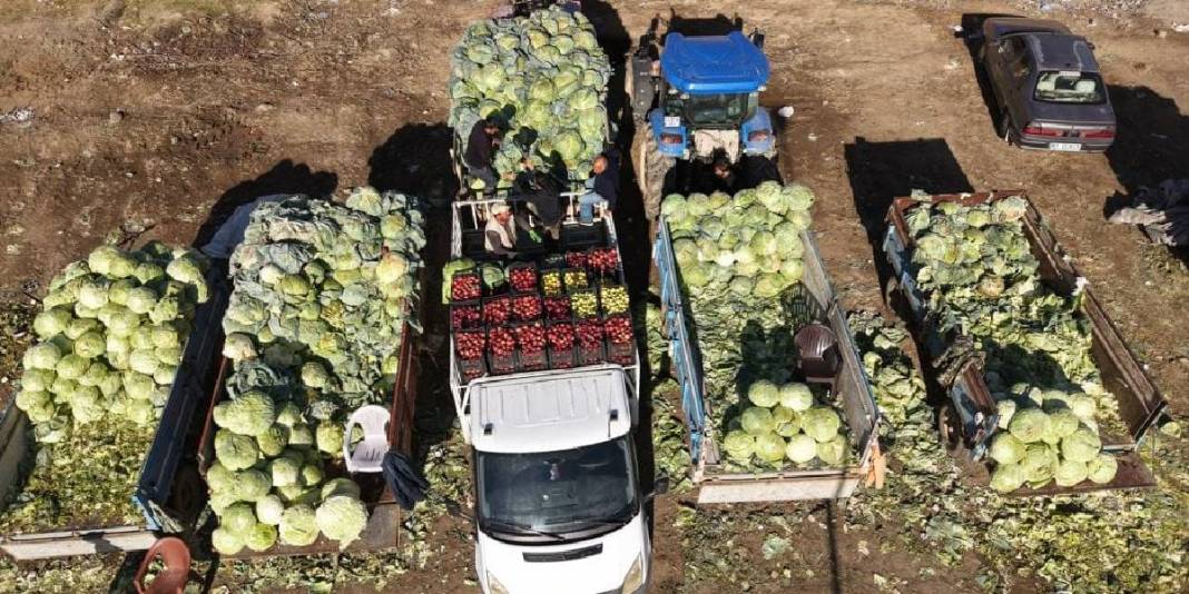 Ata tohumundan üretildi, rekor verim sağladı! Coğrafi işaretli üründe güldüren hasat: Tanesi 150 TL’den satılıyor 3